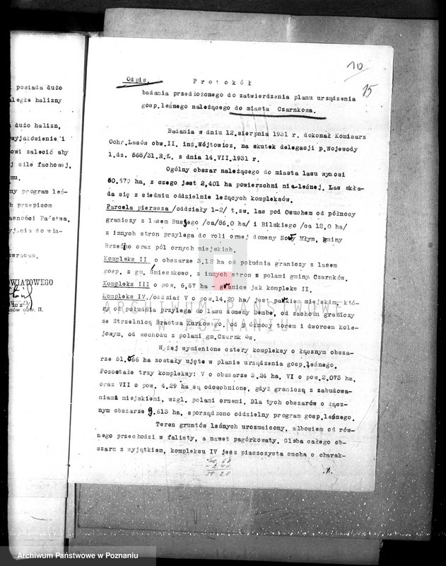 Obraz 19 z jednostki "Magistrat miasta Czarnkowa /nadzór nad gospodarką leśną/"