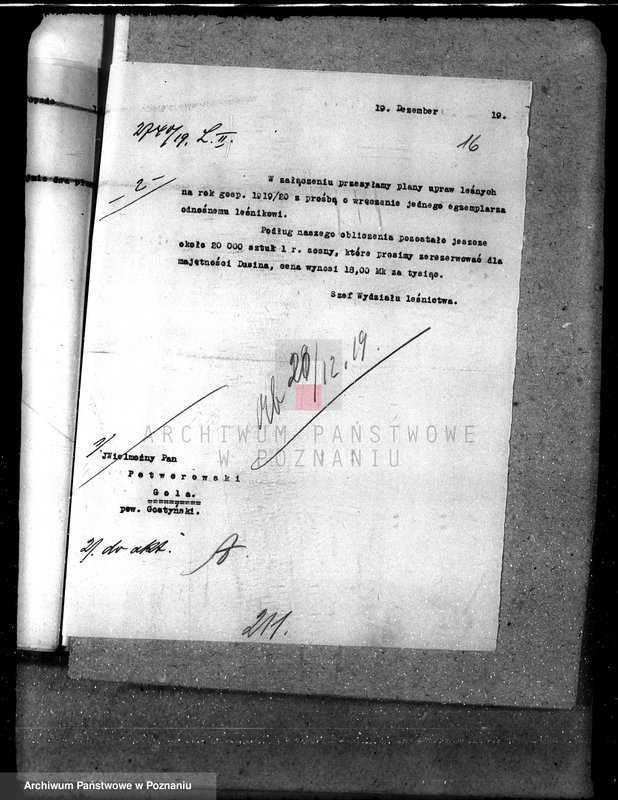 Obraz 19 z jednostki "Majętność leśna Gola w powiecie gostyńskim"