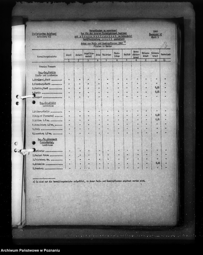 Obraz 20 z jednostki "Pommern"