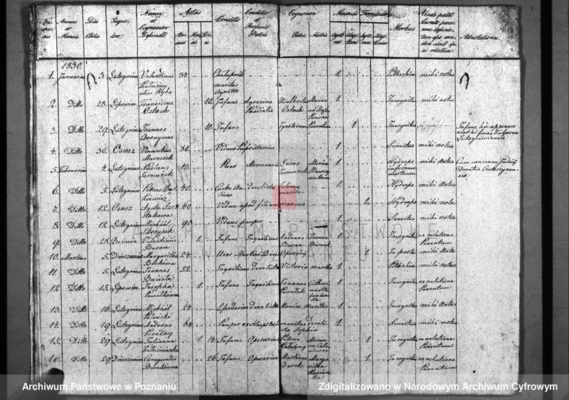 image.from.unit.number "Duplicatum baptisatorum, copulatorum, mortuorum"