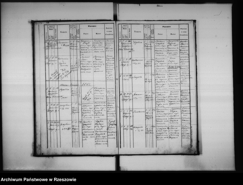 image.from.unit.number "Księga urodzeń Lutoryż"