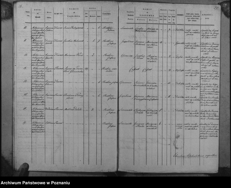 Obraz 16 z jednostki "Duplicat baptisatorum, copulatorum, mortuorum"
