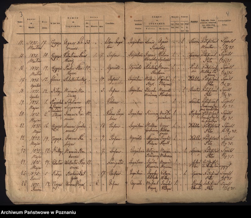 Obraz 5 z jednostki "Księga zgonów"