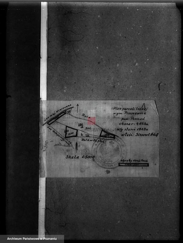 Obraz 5 z jednostki "Program urządzenia gospodarstwa leśnego dla lasu w gminie Pruszewice własność Adolf Siewert powiat poznański 1929-1939"