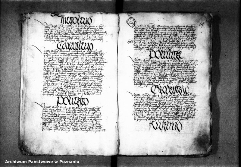 Obraz 19 z jednostki "Inscriptiones, relationes, decreta [inducta]"