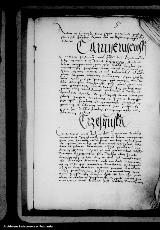 Obraz 11 z jednostki "Inscriptiones, relationes, decreta [inducta]"