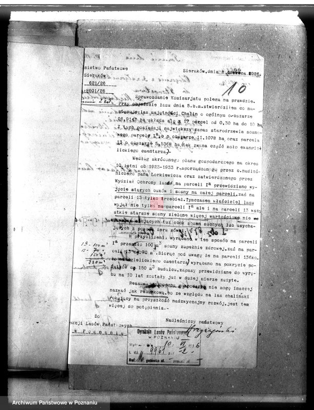 Obraz 15 z jednostki "Majętność leśna Chalin powiat międzychodzki"