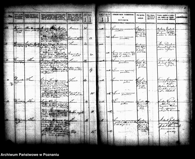 Obraz 7 z jednostki "Księga małżeństw"