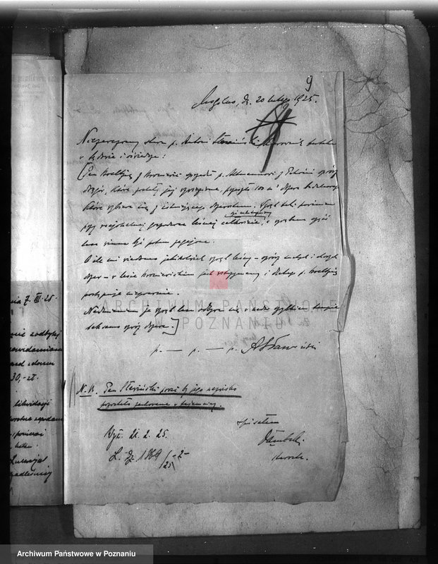 Obraz 13 z jednostki "Majętność leśna /Bronie wiec/ powiat mogileński"