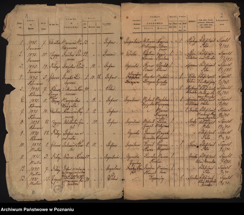 Obraz 4 z jednostki "Księga zgonów"