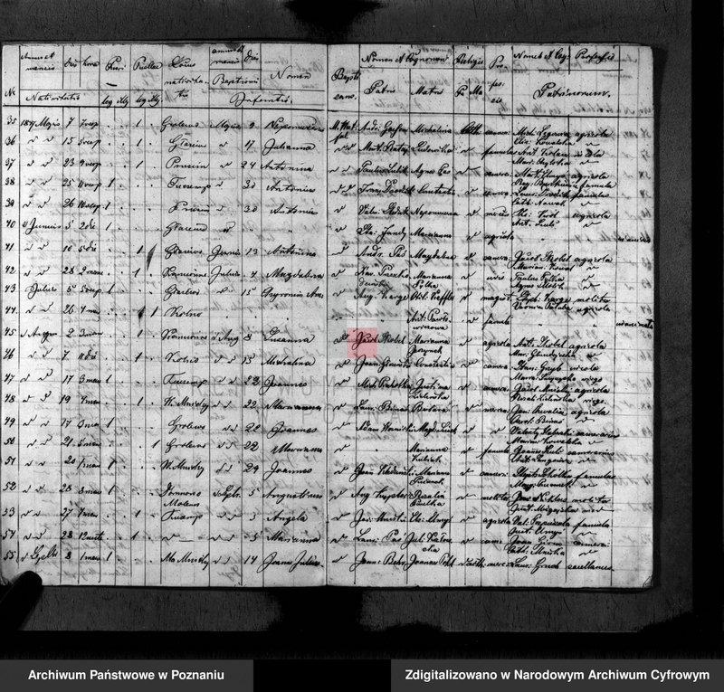 Obraz 6 z jednostki "Duplikat baptisatorum, copulatorum, mortuorum"