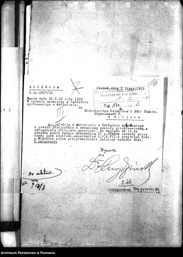 Obraz 19 z jednostki "Nosacizna - Wągrowiec"