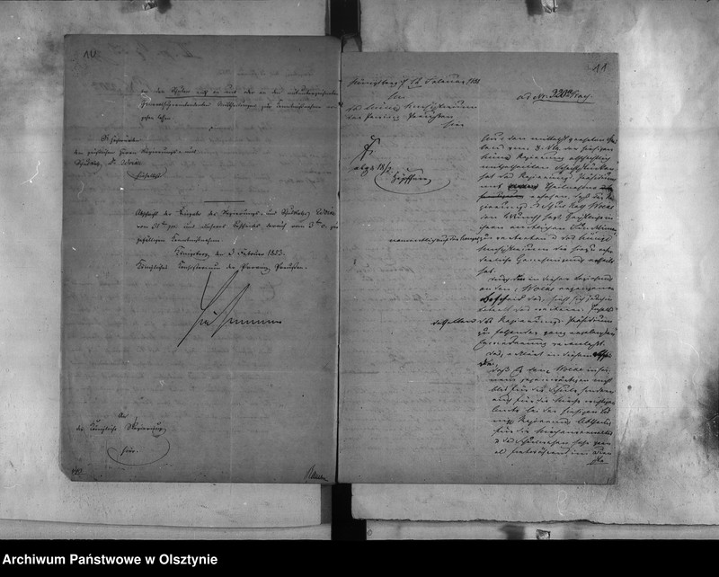 image.from.unit.number "Regierungs und Schul-Rath Dr. Woike [Paul]"