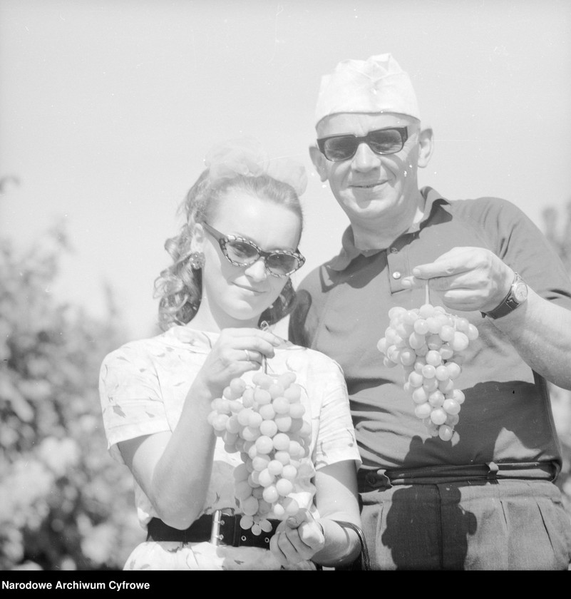 image.from.unit.number "Zakład produkcyjny Przedsiębiorstwa Handlu Zagranicznego "Hortex" w Górze Kalwarii"