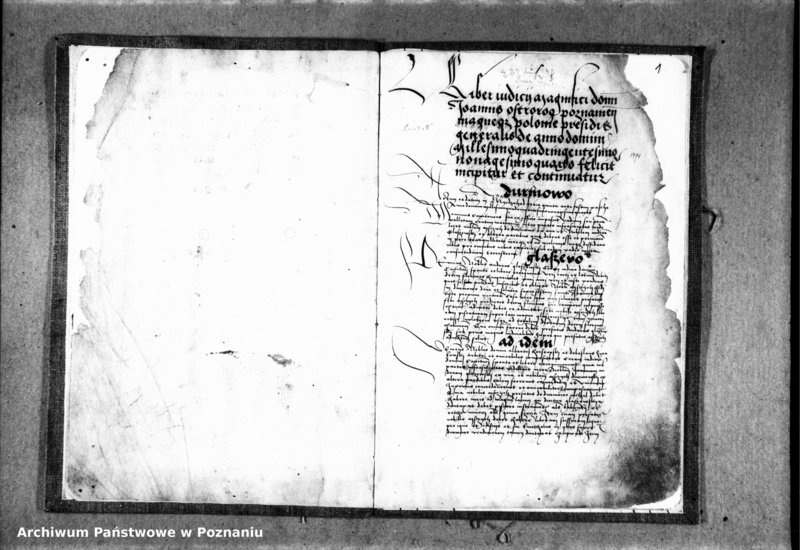 Obraz 5 z jednostki "Inscriptiones, relationes, decreta [protocollon]"