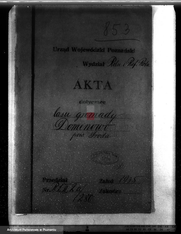 Obraz 4 z jednostki "Las gromady Dominowo powiat średzki"