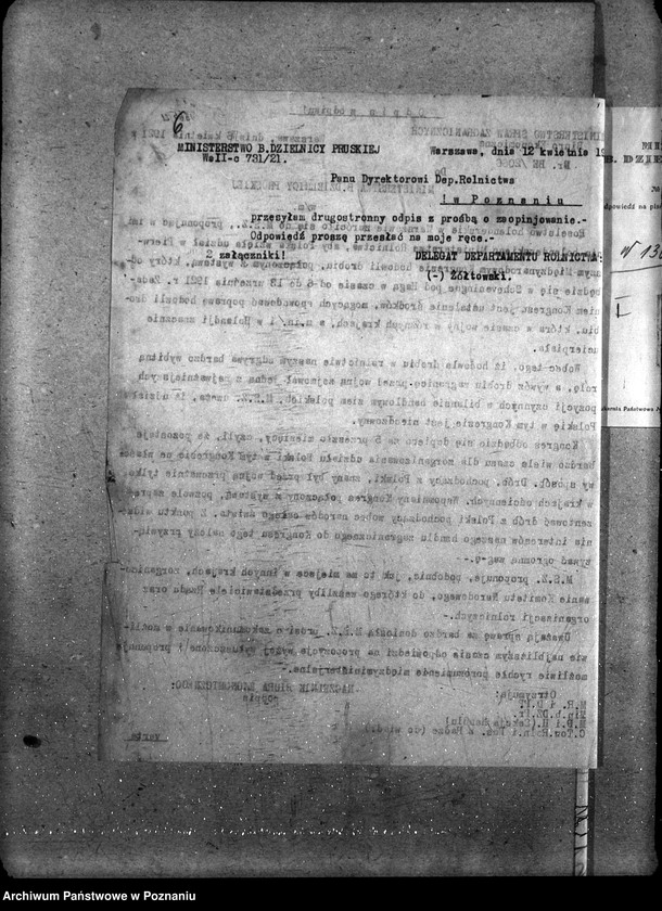 Obraz 10 z jednostki "Sprawy szczegółowo-administracyjne Drobny inwentarz i drób"