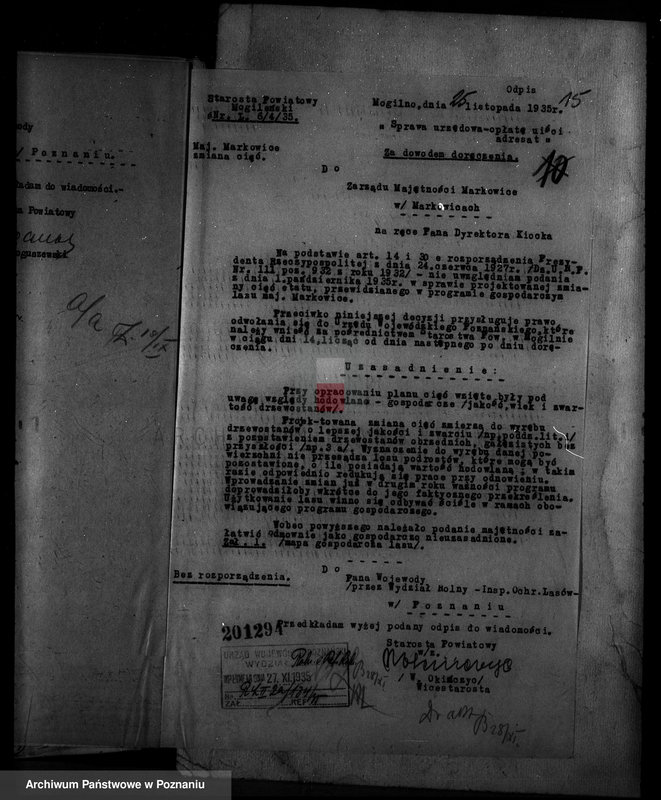 Obraz 20 z jednostki "Nadzór nad gospodarką w lasach majętności Markowice powiat mogileński"