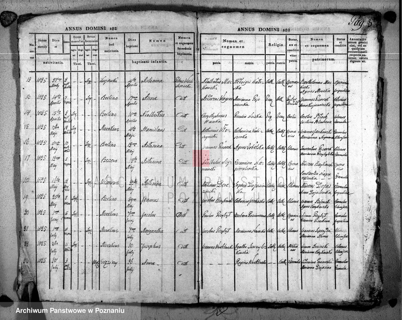 image.from.unit.number "Duplikat baptisatorum, copulatorum u. mortuorum"
