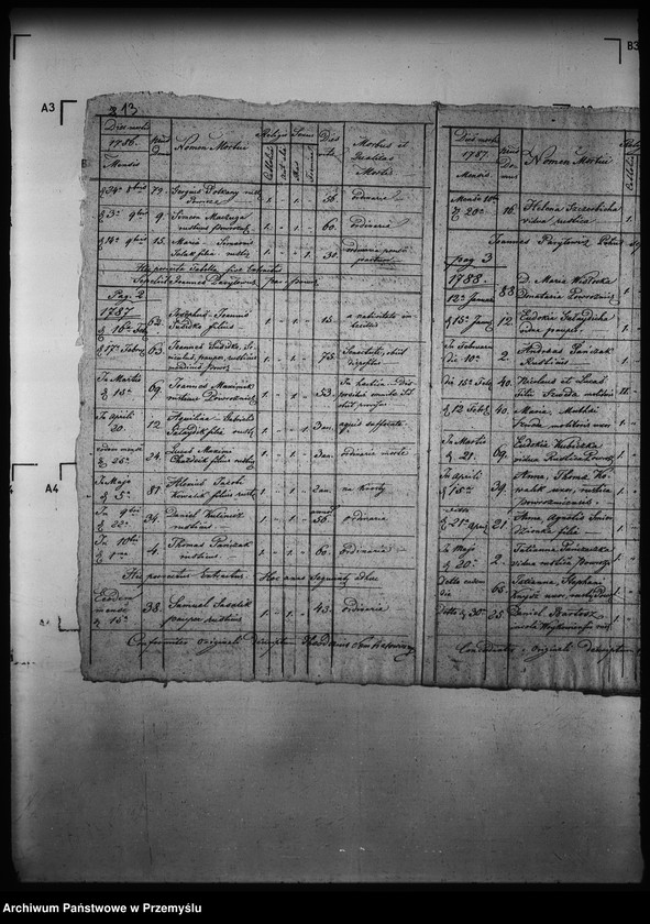 Obraz 17 z jednostki "[Kopie ksiąg metrykalnych parafii Powroźnik (dekanat Muszyna)]"