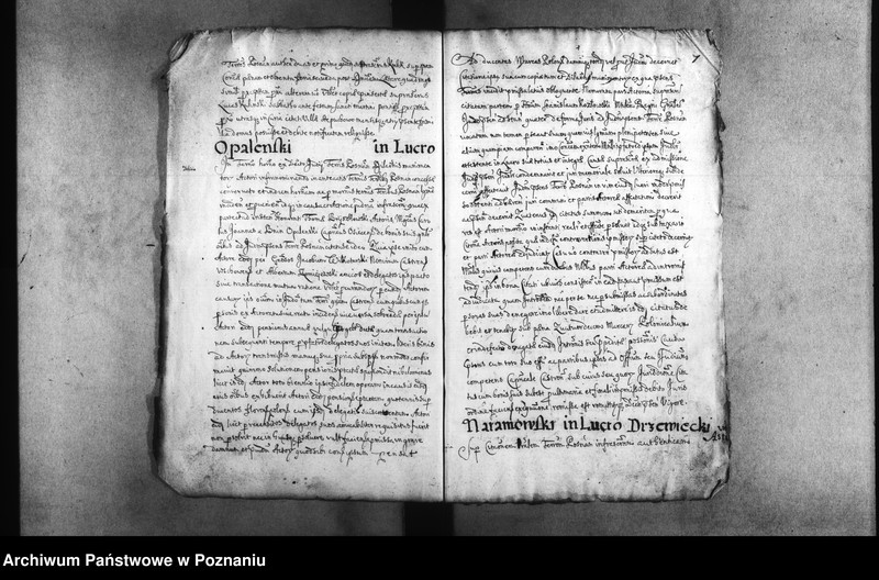 Obraz 11 z jednostki "Decreta [inducta]"