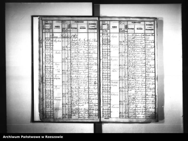 image.from.unit.number "Księga urodzeń - Siedliska"