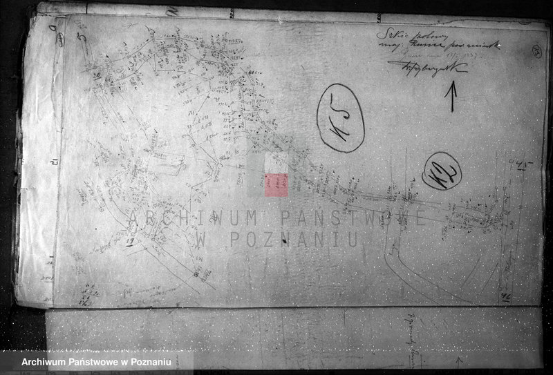 Obraz 9 z jednostki "Mapy majątku Rusiec w powiecie żnińskim"