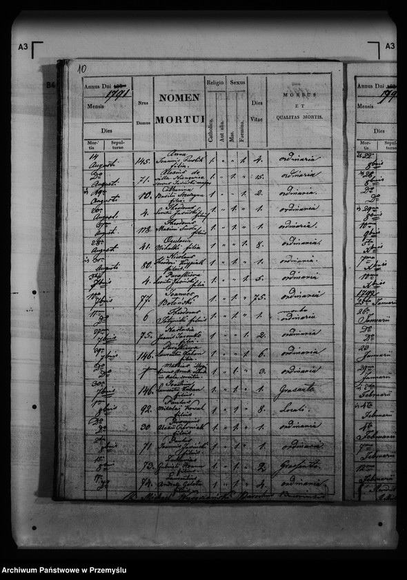 Obraz 17 z jednostki "[Kopie ksiąg metrykalnych parafii Buców (dekanat Medyka)]"
