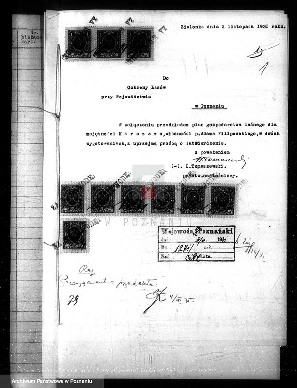 Obraz 5 z jednostki "Nadzór nad gospodarką w lasach majątku Karczewo powiecie gnieźnieńskim"