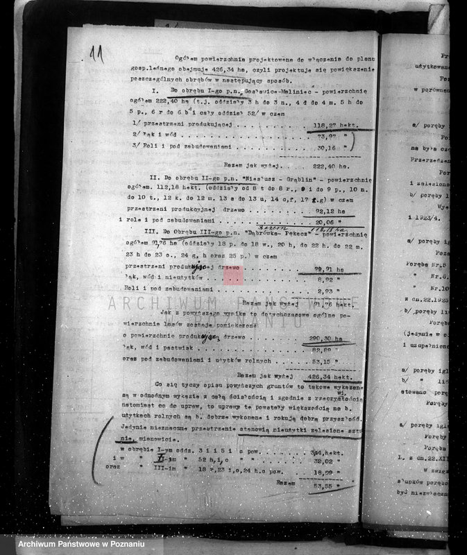 Obraz 15 z jednostki "Sprawa zmiany rodzaju użytkowania 426,34 ha gruntów leśnych w majątku Gosławice powiat koniński celem utworzenia deputatu rolnego dla staży leśnej"