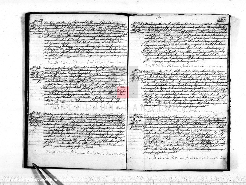 Obraz 8 z jednostki "Akta stanu cywilnego parafij Św. Jeziorskiej urodzonych, zaślubionych i umarłych z roku 1866"