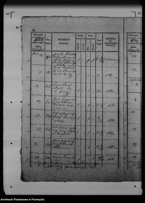 Obraz 18 z jednostki "[Kopie ksiąg metrykalnych parafii Wólka Mazowiecka (dekanat Rawa Ruska)]"