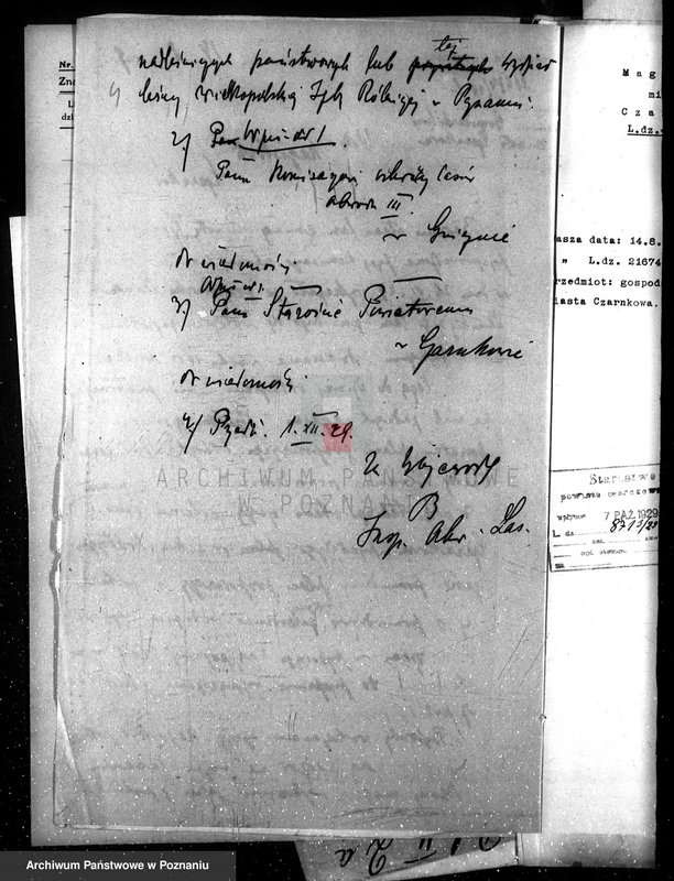 Obraz 8 z jednostki "Magistrat miasta Czarnkowa /nadzór nad gospodarką leśną/"