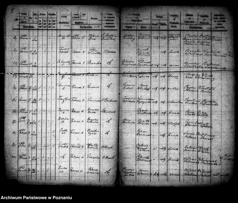 Obraz 4 z jednostki "Księga urodzin"