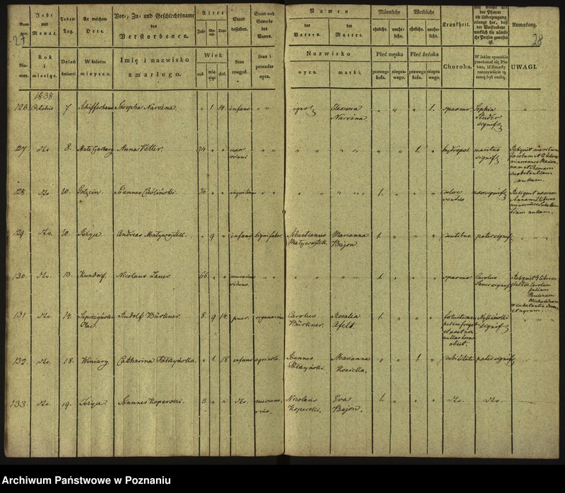 Obraz 17 z jednostki "Księga zgonów"