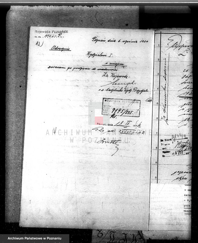 Obraz 15 z jednostki "Nadzór nad gospodarką w lasach majętności Modliszewo powiecie gnieźnieńskim"