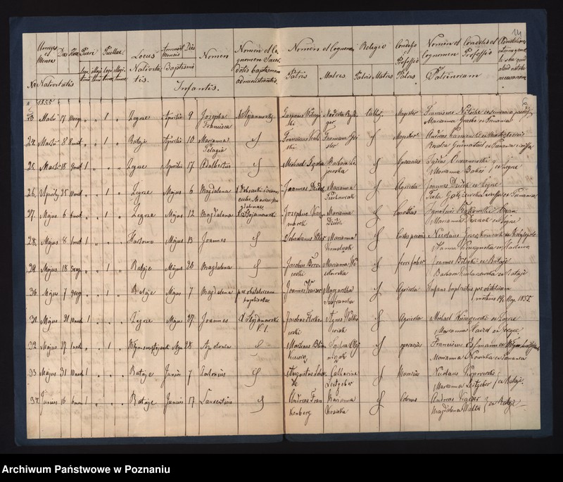 Obraz 6 z jednostki "Księga urodzeń"