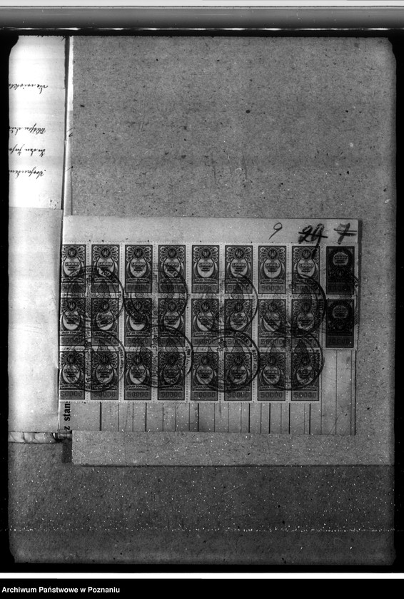 Obraz 13 z jednostki "Las fundacyjny Bodzewo w powiecie gostyńskim"