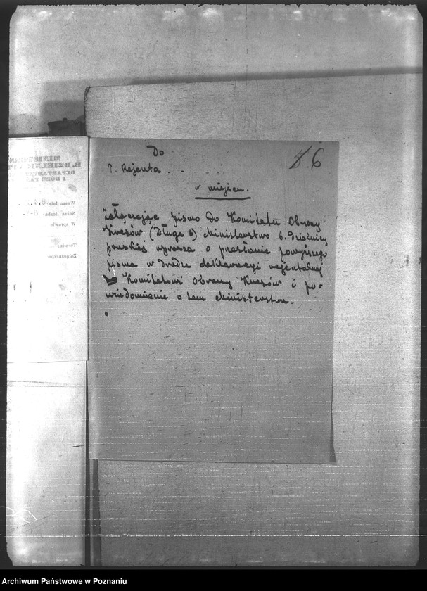 Obraz 10 z jednostki "Ogólne"