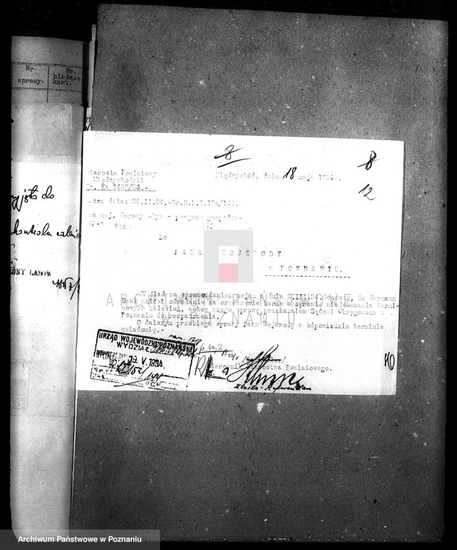 Obraz 16 z jednostki "Las majątku Borowy Młyn powiat międzychodzki"