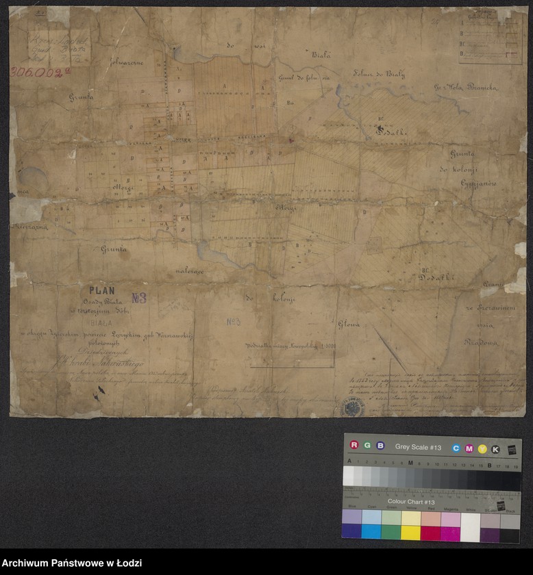 Obraz 1 z jednostki "Plan Osady Biała Nr 3 w teritorjum dóbr Biała w okręgu Zgierskim, powiecie Łęczyckim, guberni Warszawskiej położonych dziedzicznych Jaśnie Wielmożnego hrabi Nakwaskiego"