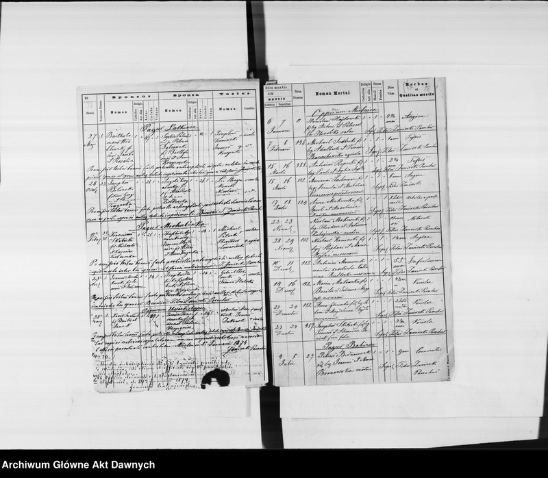 image.from.unit.number "Parafia: Mielnica. Dekanat: Borszczów. Księga metrykalna urodzeń 1872-1903, ślubów 1872-1874, 1876-1894, 1896-1903, zgonów 1872-1874, 1876-1886, 1888-1891, 1893-1900, 1902-1903 dla miasta Mielnica i miejscowości: Babińce*, Boryszkowce*, Bielowce*, Wygoda*, Chudykowce, Dźwiniaczka*, Dźwinogród*, Wołkowce*, Trubczyn*, Iwanie Puste*, Kudryńce*, Łatkowce*, Michałówka*, Olchowiec, Uście Biskupie, Horoszowa, Zawale*, Okopy*, Kozaczówka*, Zielona, Paniowce*."