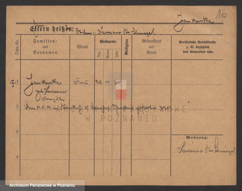 Obraz 16 z jednostki "Jankowski (wdowy i samotni mężczyźni)"