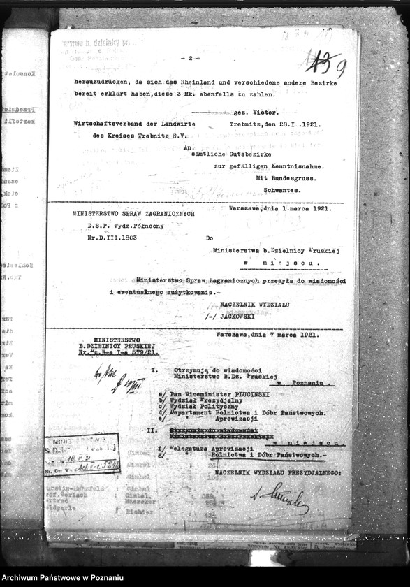 Obraz 13 z jednostki "Ziemiopłody"