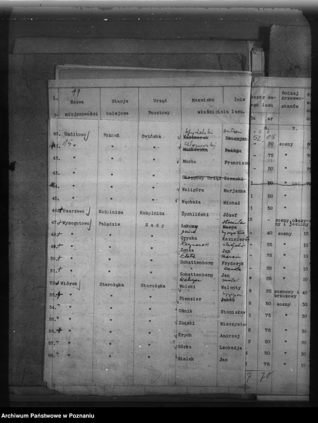 Obraz 19 z jednostki "Lasy do 30 ha na terenie powiatu poznańskiego"