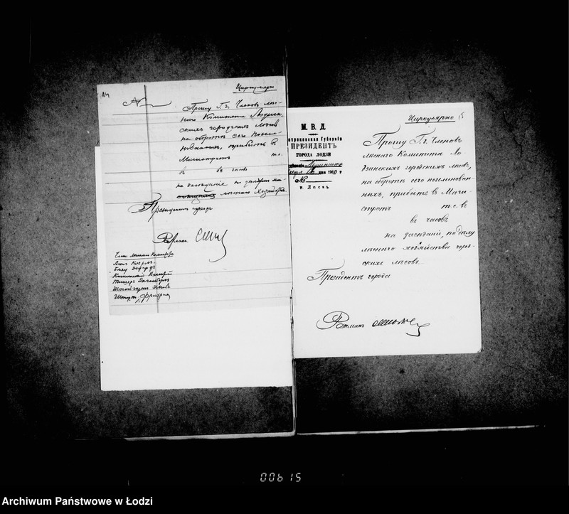 Obraz 13 z jednostki "Raznaja perepiska o gorodskich lesach"