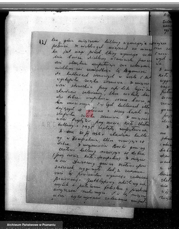 Obraz 17 z jednostki "Zalesienie nieużytków w powiecie kolskim"