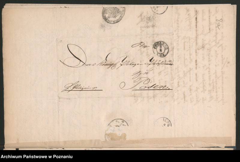 Obraz 12 z jednostki "A. betr. Personalia der Witwe Angelica von Dembowska und ihre Söhne Czeslaw und Eduard"