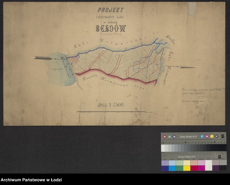 Obraz 1 z jednostki "Projekt irrygacji łąki w dobrach Bełdów pomiędzy stawami Garwal i Jan"