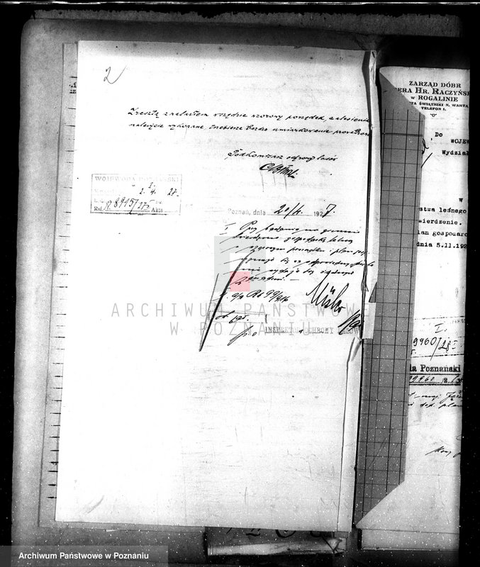 Obraz 6 z jednostki "Majętność leśna Jeżewo w powiecie gostyńskim"